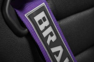 Universal (Can Work on All Vehicles) Braum Racing SFI Racing Harness - Purple, 5 PT