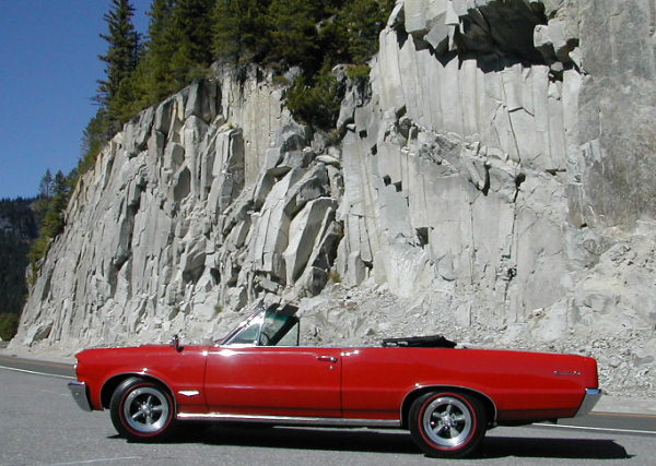 Tom's 64 GTO Convertible