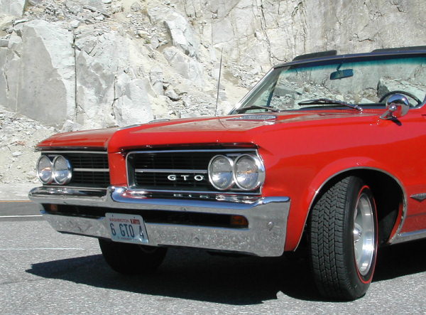 Tom's 64 GTO Convertible