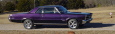 LGBJR's 65 GTO