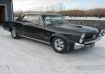 Kelly's 1965 GTO