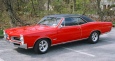 Raymond's 1966 GTO