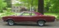 Gregg's 1967 GTO