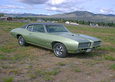 Harry's 1969 GTO