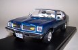 Diz Dean's 1974 GTO Model