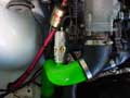 bov mounted