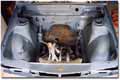 engine bay after stripping the EASY way - take it to a sandblaster!