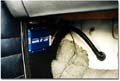 computer mounted in the car