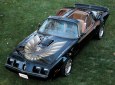 Bill's 79 Trans Am Special Edition