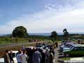 the view