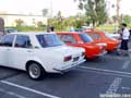 lined up