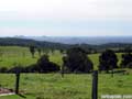 the view