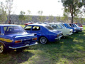 datsuns