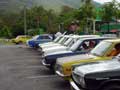 lots of datsuns