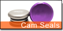 Cam Seals