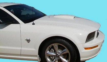 Ford mustang gt hood scoop for 99-04 #4