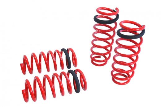 Megan Racing Lowering Springs