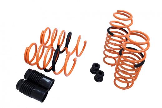 Megan Racing Lowering Springs