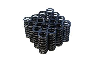 D16Z-Y (1.6L SOHC VTEC) Blox Racing Valve Springs