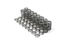 Universal Brian Crower BC Spring & Retainer Kits - Single Spring & Titanium