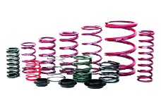 Universal Eibach EIB ERS Springs - ERS 5.00 in. Length x 1.63 in. ID Coil-Over