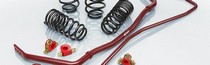 02-04 ACURA RSX Eibach Pro-Plus Kit (Pro-Kit Springs & Anti-Roll-Kit Sway Bars)