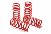 11-14 Ford Mustang (V6, V8) H&R Race Lowering Springs 