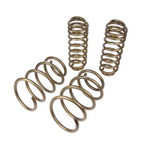11-14 Ford Mustang (GT, V6, BOSS 302, GT500) Hurst Stage One Spring Kit