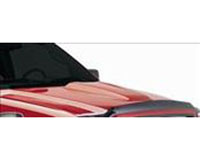 1996 Ford explorer cowl hood #6