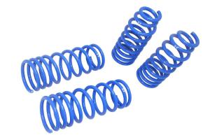 99-05 BMW 3 Series E46 323i 325i 328i 330i (2 / 4DR) Manzo USA Lowering Springs - Drop 1.5