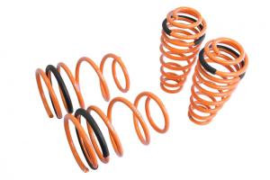 05-14 Ford Mustang Megan Racing Lowering Springs