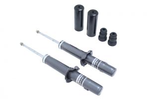 96-00 Honda Civic Megan Racing Silver Rs Sport Struts - Front (Both Sides)