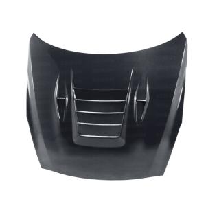09-15 Nissan GTR R35 Seibon DS Style Hood (Carbon Fiber)