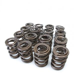 97-01 Honda Prelude Base-Type SH, 93-96 Honda Prelude (SiVTEC) Skunk2 VTEC Alpha Valve Springs