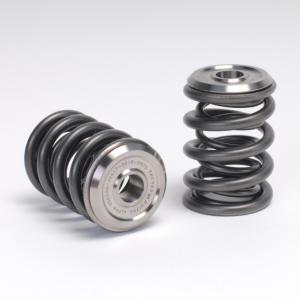 92-01 Acura Integra, 94-97 Honda Del-sol, 97-01 Acura Integra, 99-00 Honda Civic SI Skunk2 B Series Alpha Valve Spring & TI Retainer Kit