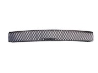 05-06 Mustang Street Scene Cut-Out Grilles, SSE Valance (Black Chrome)
