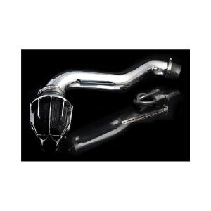 94-01 Acura Integra (non-vtec ) Weapon R Short Ram Intake - Carbon Fiber Pipe, Dragon Filter