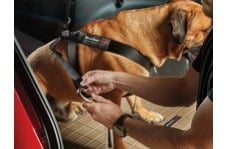Universal WeatherTech WT Travel Pet Harness - Universal Travel Safe Harness - Black