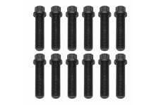 Universal Wilwood WIL Bolt Kit - 12 PTCS 1/2-20x2.00 LG Bolt Kit FULL THD