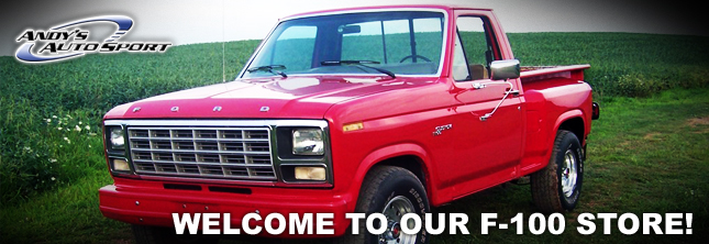 Ford f100 80