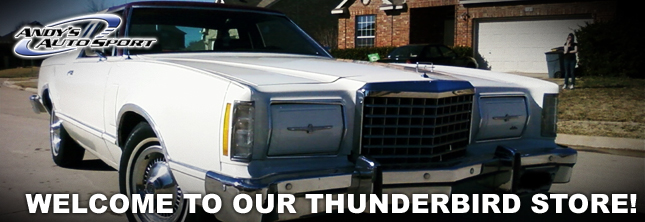 Aftermarket auto parts ford thunderbird #6