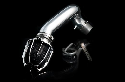 Weapon R Short Ram Intakes - Dragon (Polished)